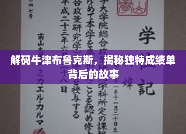 解码牛津布鲁克斯：揭开独特成绩单背后的奥秘