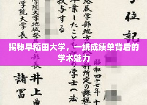 解码早稻田奇迹，一纸成绩单中的学术风采