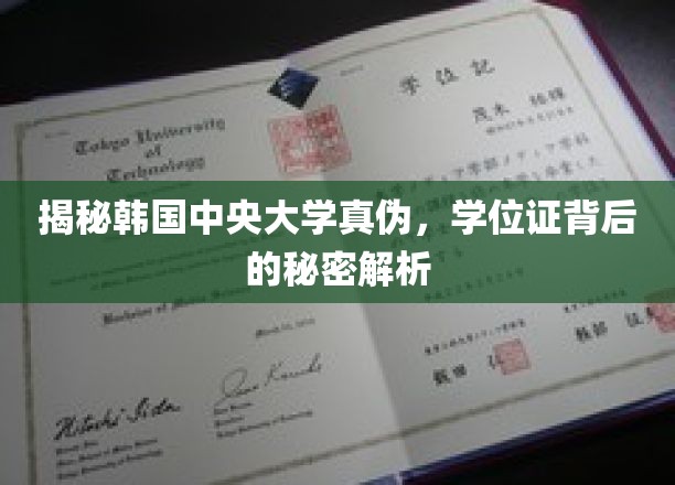 韩国中央大学学历之谜，揭开学位证的神秘面纱