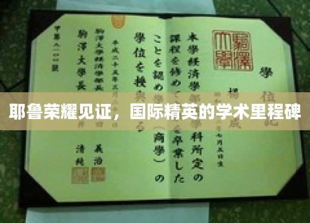耶鲁之巅，共铸国际学术精英的辉煌印记
