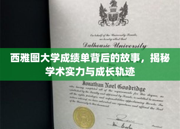 西雅图大学成绩单背后的故事，一窥学术实力与成长轨迹