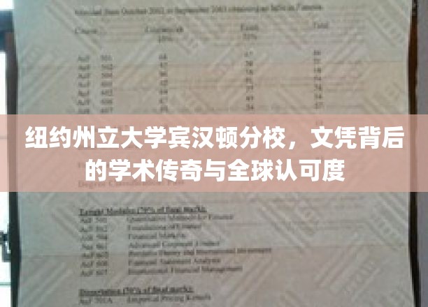 纽约州立大学宾汉顿分校，文凭背后的学术传奇与全球认可度