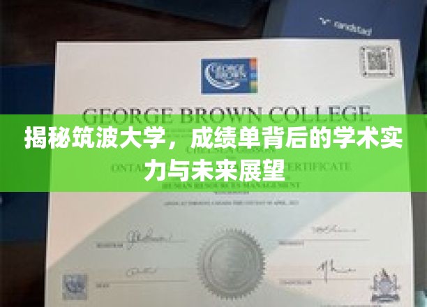 筑波大学揭秘，揭秘学术实力，展望未来教育新篇章
