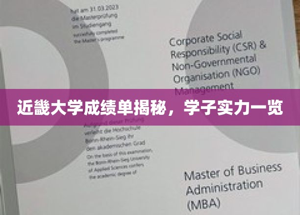 近畿大学精英风采，一窥学子实力全景