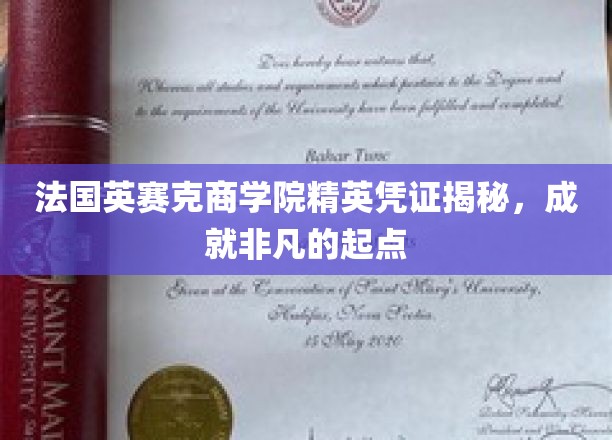 解码成功起点，法国英赛克商学院精英证书背后的非凡力量