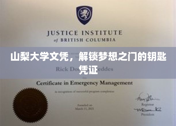 山梨大学文凭，开启人生新篇章的璀璨钥匙