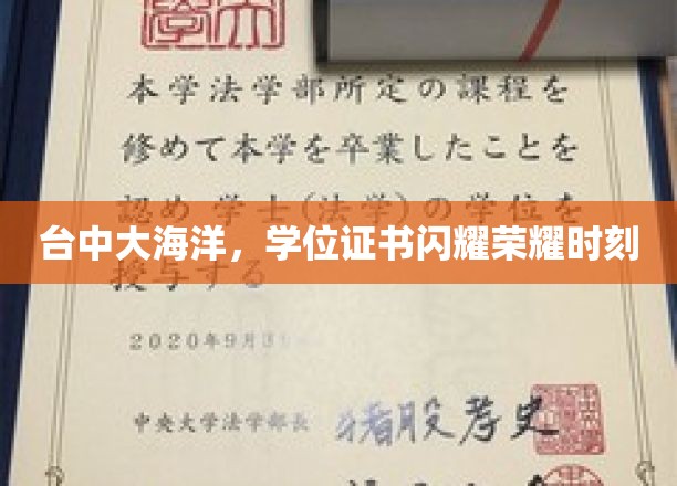 台中大海洋荣耀盛典，学位证书熠熠生辉