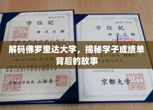 解码佛罗里达大学，揭秘学子成绩单背后的故事