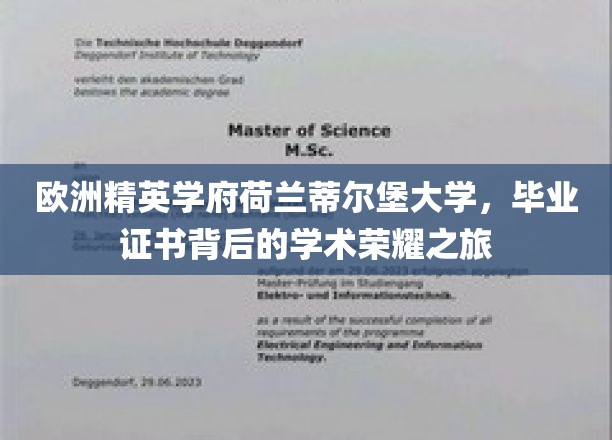 荷兰蒂尔堡大学，毕业证书背后的学术璀璨足迹