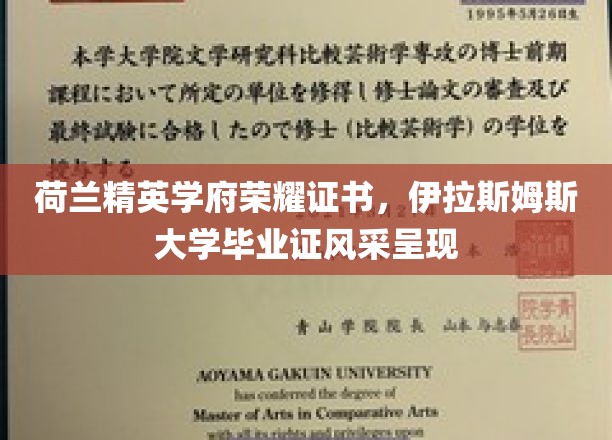 荷兰精英学府荣耀证书，伊拉斯姆斯大学毕业证风采展示