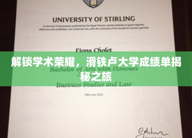 揭开学术精英的面纱，滑铁卢大学成绩单背后的传奇故事