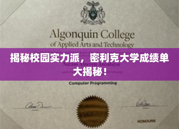 校园风云榜，密利克大学学霸成绩单曝光！