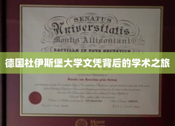 德国杜伊斯堡大学文凭背后的学术之旅