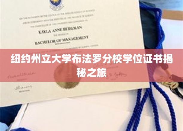 探索纽约州立大学布法罗分校学位证书背后的故事