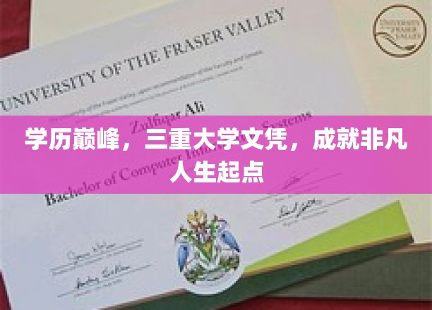 学历三冠王，三重大学文凭铺就非凡人生之路