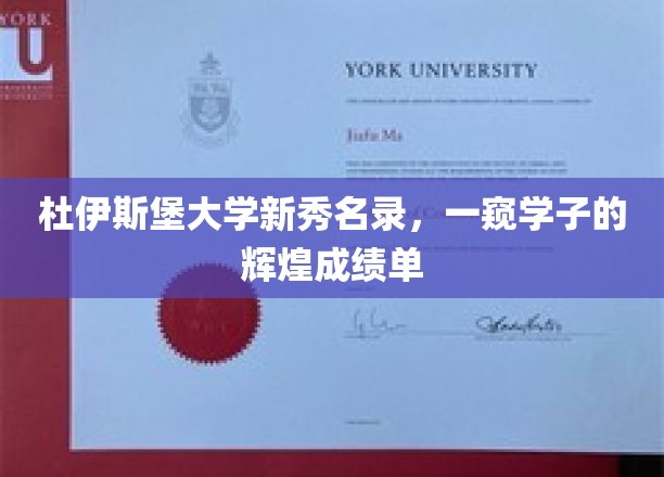 杜伊斯堡大学新秀名录，一窥学子的辉煌成绩单
