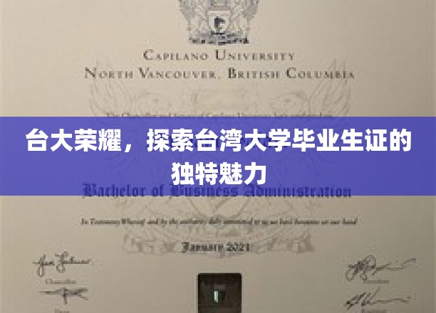 台湾大学毕业生证，探寻背后非凡荣耀的印记之谜