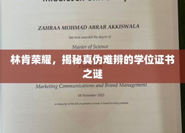 真假难辨，林肯荣耀学位证书背后的神秘面纱