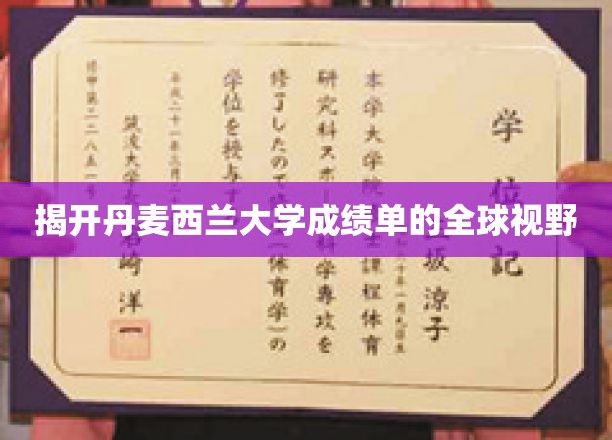 丹麦西兰大学成绩单背后的国际教育洞察