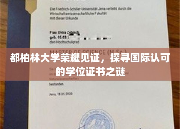 都柏林大学荣耀见证：揭秘国际认可的学位证书背后的故事