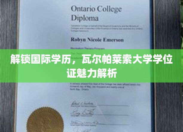 跨国学历之旅，揭秘瓦尔帕莱索大学学位证的独特魅力