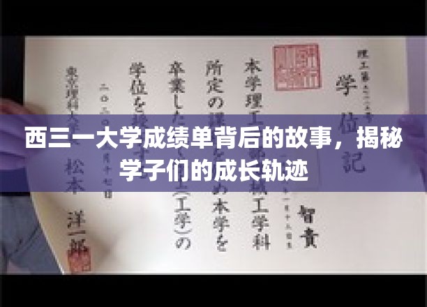 西三一大学成绩单中的青春足迹，学子成长轨迹深度解读