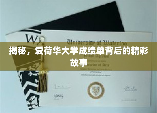揭秘，爱荷华大学成绩单背后的精彩故事