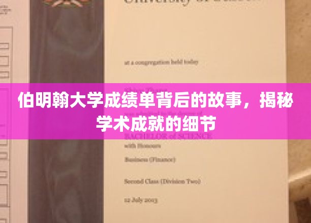 伯明翰大学成绩单背后的故事，揭秘学术成就的细节