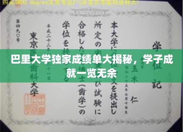 巴里大学独家成绩单大揭秘，学子成就一览无遗
