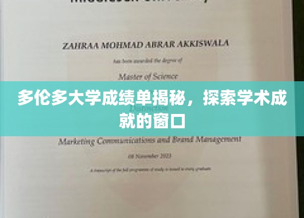 多伦多大学成绩单揭秘，一扇窥探学术成就的窗口