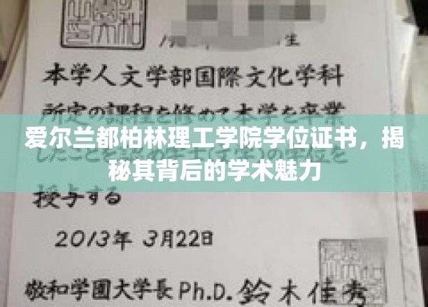 探寻爱尔兰都柏林理工学院学位证书背后的独特学术风采
