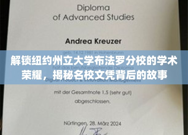 解码布法罗分校卓越篇章，名校文凭背后的不凡历程