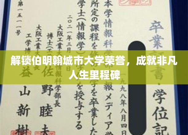 解锁伯明翰城市大学荣耀，成就非凡人生里程碑