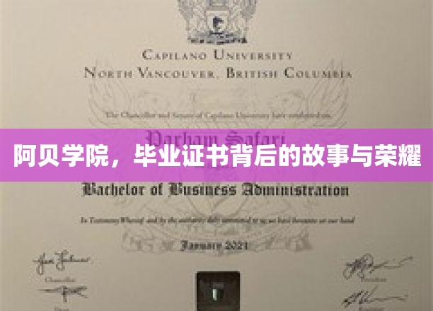 阿贝传奇，毕业证书背后的荣耀篇章