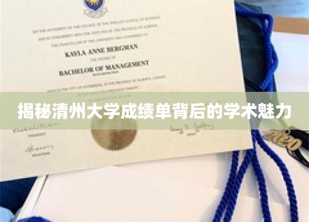 清州大学成绩单，探寻隐藏其后的学术风采之谜