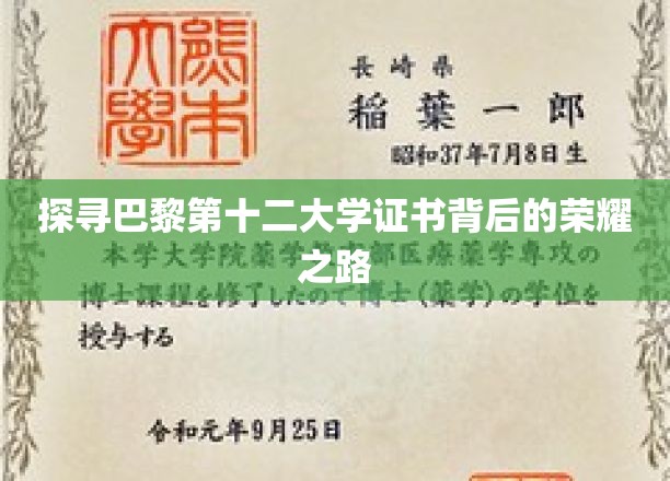 解码巴黎第十二大学证书，荣耀背后的学术征程