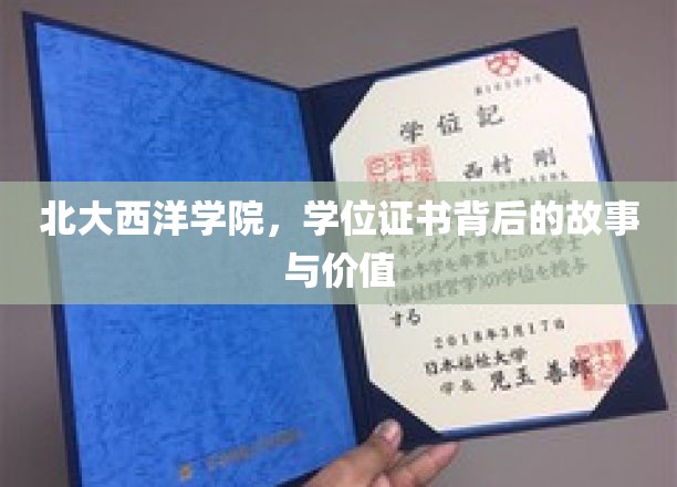 北大西洋学院，揭秘学位证书背后的非凡历程与珍贵意义