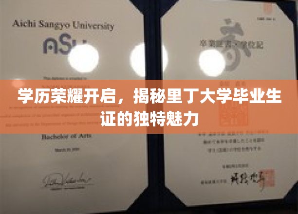 里丁大学毕业生证揭秘，学历荣耀背后的独特风采