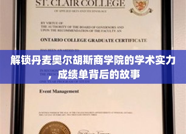 解锁丹麦奥尔胡斯商学院的学术实力，成绩单背后的故事