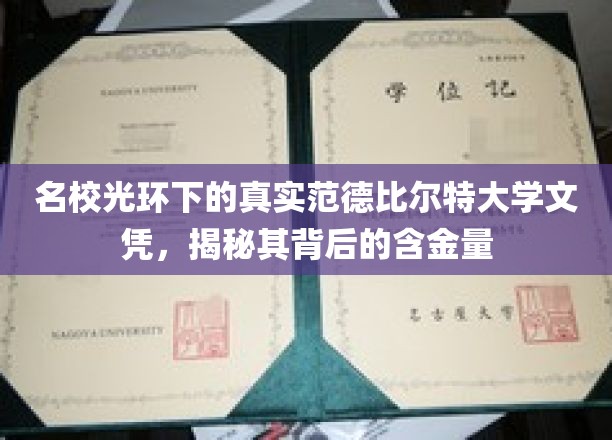 名校光环下的真实范德比尔特大学文凭，揭秘其背后的价值