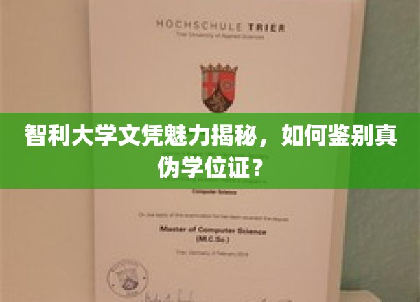 揭秘智利大学文凭魅力，教你轻松辨识真伪学位证书