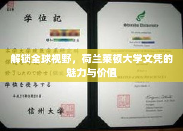 解锁全球视野，荷兰莱顿大学文凭的魅力与价值