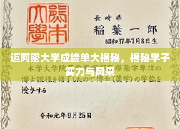 迈阿密学子风采大揭秘，揭秘迈大成绩单背后的实力与魅力