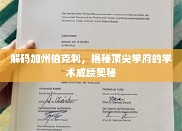揭开加州伯克利传奇，探寻学术巅峰的秘密动力