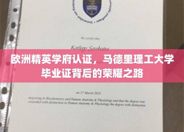 马德里理工大学荣耀通行证，欧洲精英学府认证的璀璨历程
