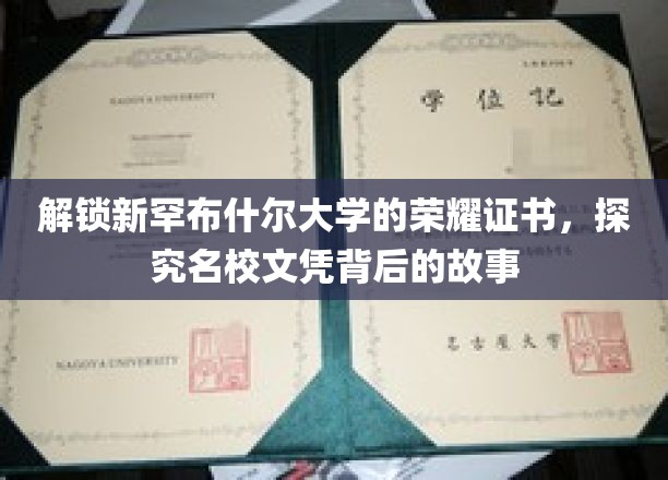 探寻新罕布什尔大学荣耀证书的传奇之旅