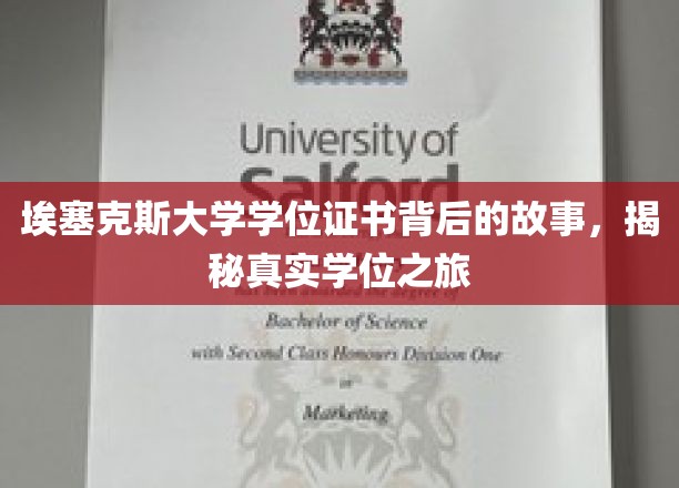 探寻埃塞克斯大学学位证书背后的传奇历程