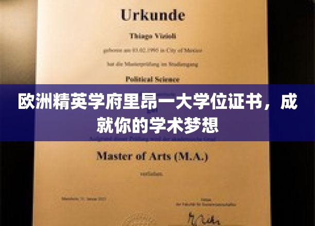 跃升学术巅峰，里昂一大学位，开启你的精英之旅
