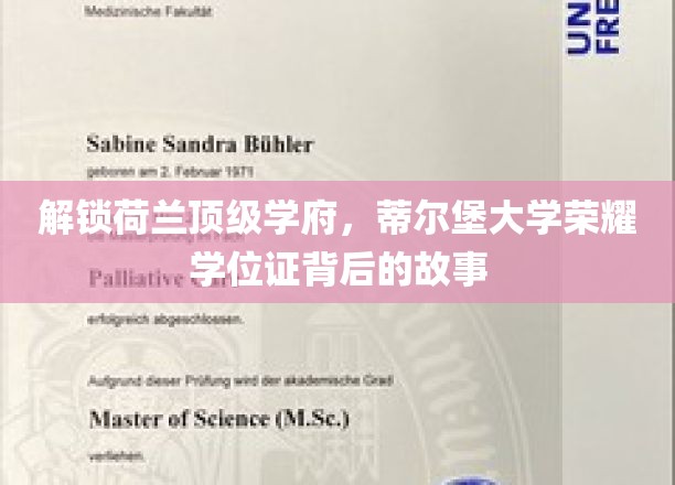 探寻蒂尔堡大学卓越学位证的辉煌轨迹