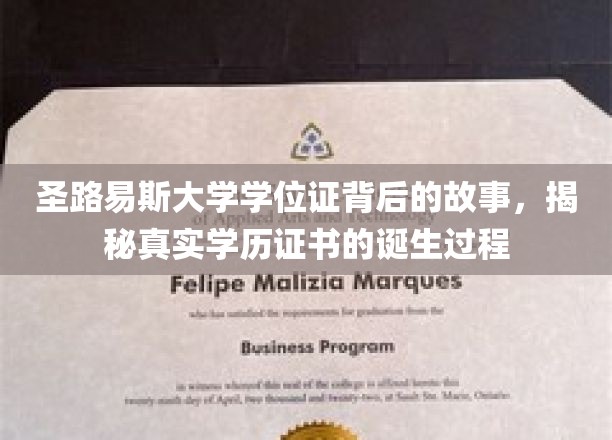 揭开圣路易斯大学学位证面纱，学历证书背后的神秘旅程